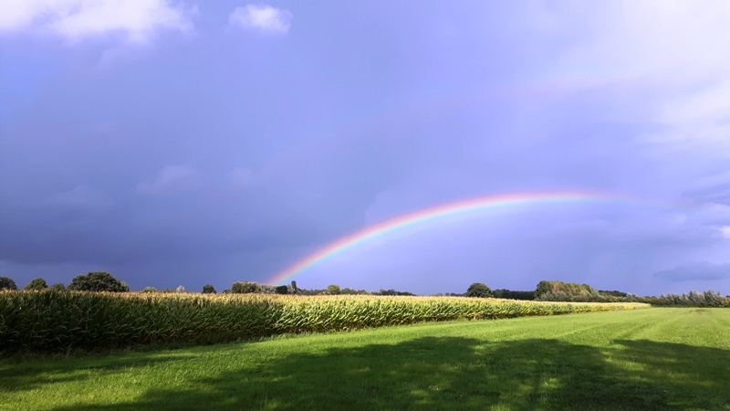 Twello regenboog