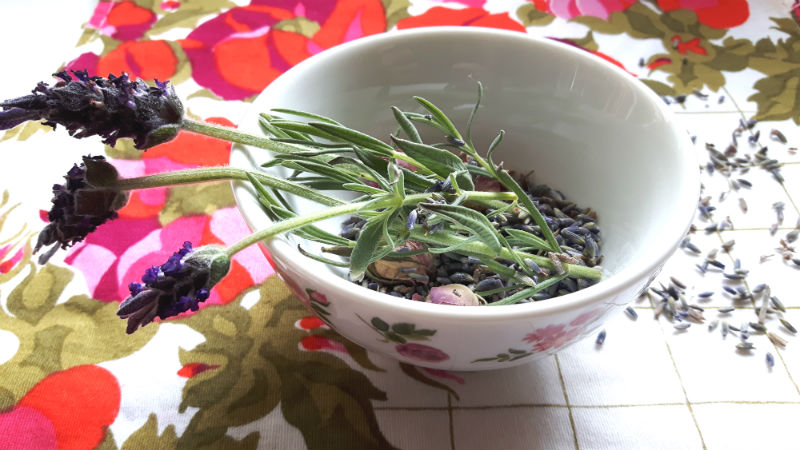 Lavendel