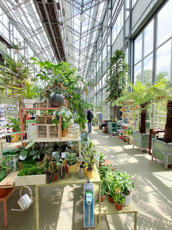 Hortus Botanicus Leiden Wintertuin 