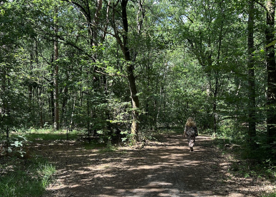 Pieterpad Ommen wandelen etappe