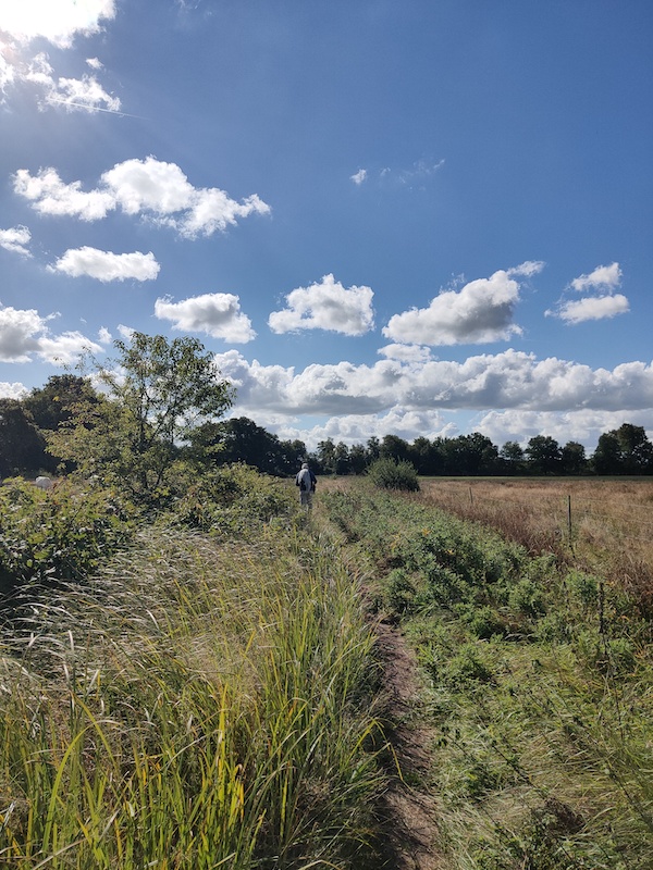 Etappe 5 Pieterpad