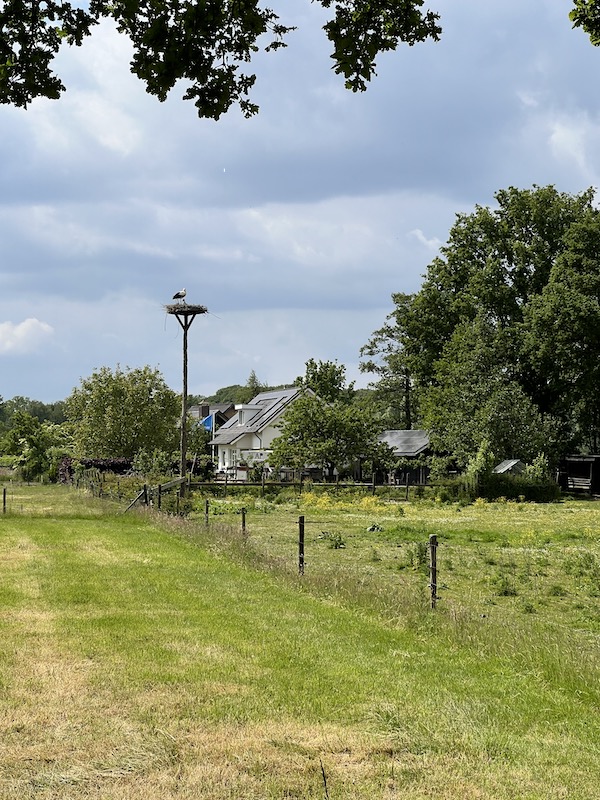 Love the Journey Ooievaarsnesten