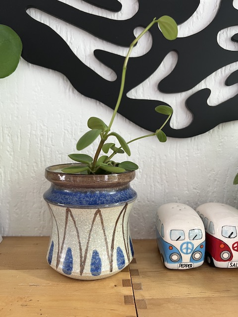 Potje kringloop plantje