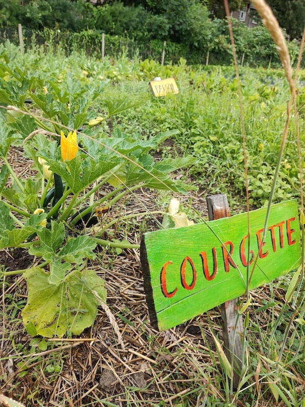 Moestuin de Stadsboerin