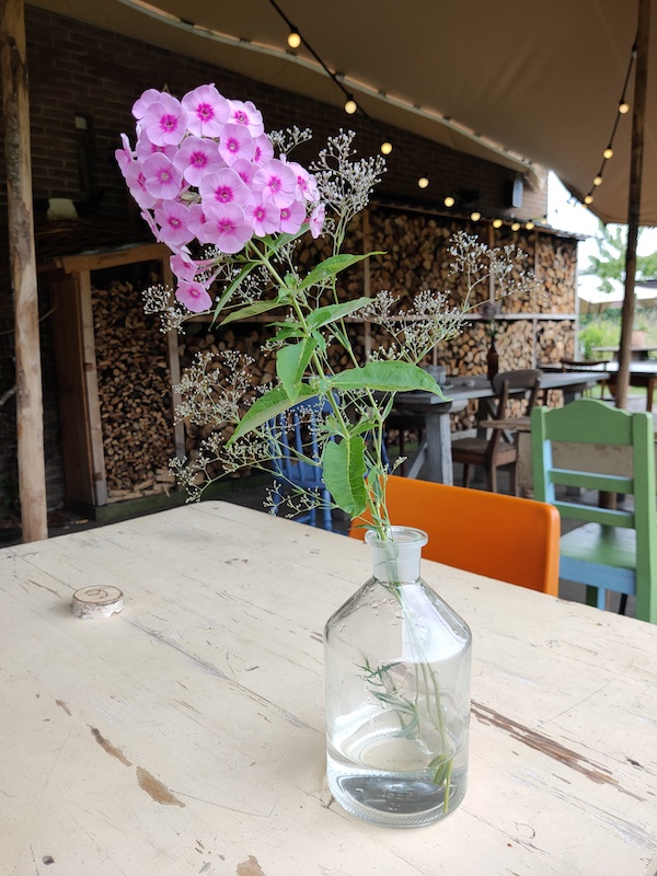De Stadsboerin Doetinchem Bloemen